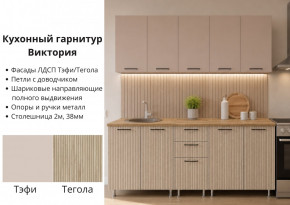 КГ Виктория 2м в Каргате - kargat.mebelnovo.ru | фото